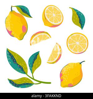 Lemon fruit illustration. Vector set of hand drawn sliced lemon isolated on white background Stock Vector