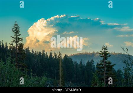 Towering thunderclouds developing above pine forest and mountain peaks in California’s Sierra Nevada. Stock Photo