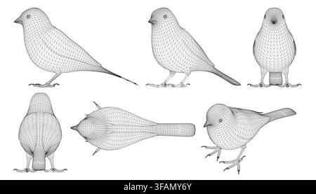 Six wireframe birds including a sparrow are sketched in detail with unique shapes and sizes. The 3D effect gives them a realistic and lifelike appeara Stock Vector