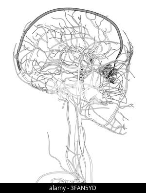 A black and white illustration of a man's head with an intricate tree growing from it, symbolizing the human circulatory system with vein-like branche Stock Vector