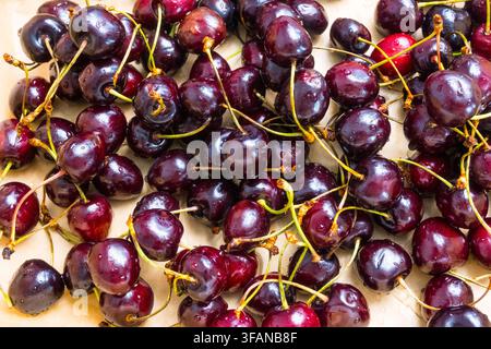 Top-down view of dark red cherries scattered on brown kraft paper with visible water drops. Green stems and glossy skin create a rustic natural summer Stock Photo