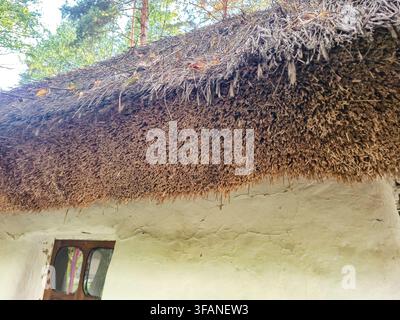 Close-up view of a rustic thatched roof and whitewashed wall of an old Ukrainian dwelling, showcasing natural building materials Stock Photo