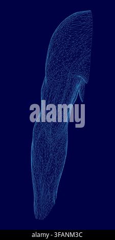 A 3D wireframe model of a male head and arm illustrates human anatomy. The intricate blue design features interconnected lines and geometric shapes on Stock Vector