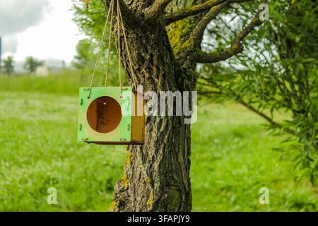 A birdhouse on a tree summer park. A wooden homemade birdhouse hangs from a tree surrounded by lush trees and grass in a meadow Stock Photo