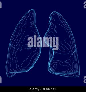 A human lungs contour drawing in blue with white outline creates stark contrast on a dark blue background. This medical illustration emphasizes respir Stock Vector