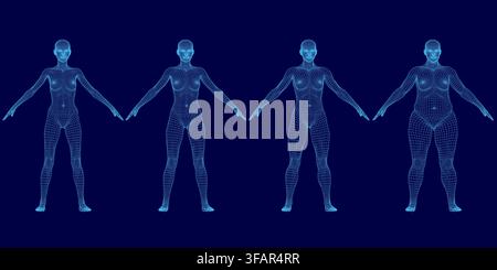 A wireframe model set of a woman's body in four distinct poses, from slim to fuller figures, displayed on a clean blue background for anatomical study Stock Vector