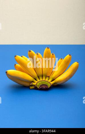Yellow, ripe mini bananas on a colorful background. Stock Photo