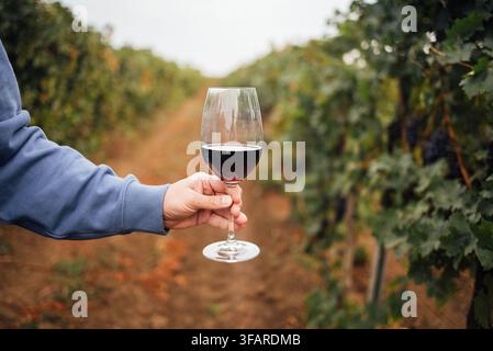 Individual holds a glass of red wine in a vineyard, with green grapevines and a dirt path visible in the background Stock Photo