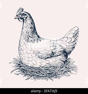 Hen Sitting on Nest Vintage Hand Drawn Illustration Stock Vector