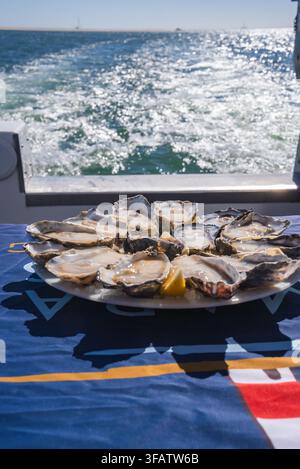 Fresh oysters served on a boat platter during a sea cruise in Namibia Stock Photo