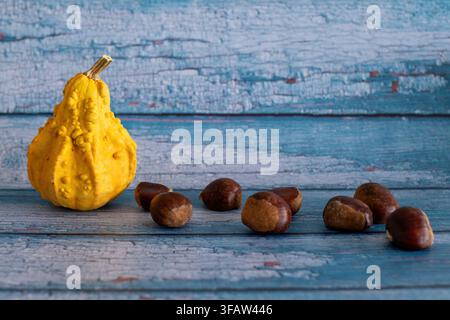 A yellow ornamental gourd and a group of chestnuts rest on a weathered, distressed blue-painted wooden surface, creating a rustic autumn still life wi Stock Photo