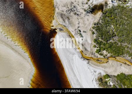 Aerial view of Sandbanks Beach featuring a white sandbar in turquoise ...