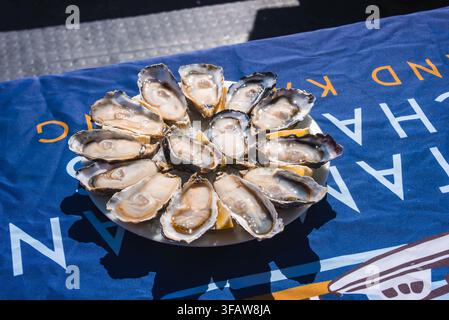 Fresh oysters on half shell served with lemon wedges Stock Photo