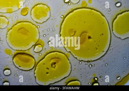 A macro photograph featuring vibrant yellow drops and pools of olive oil suspended and floating in clear water, creating an abstract scientific pattern with soft refractions and fluid dynamics. Stock Photo