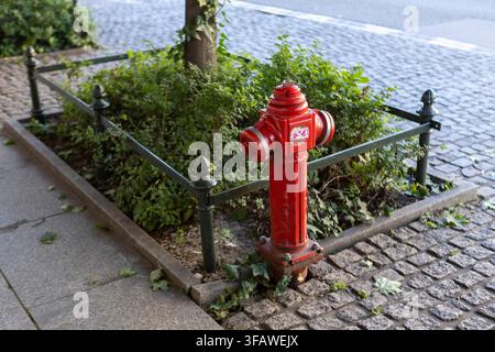 A bright red fire hydrant standing next to a small fenced tree plot on a paved cobblestone sidewalk. The street details showcase European urban infras Stock Photo