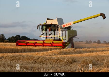 Combine harvester cutting Spring Barley crop Stock Photo