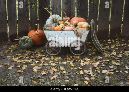 Rustic pumpkin cart on autumn leaves near wooden fence with copy space. Seasonal harvest composition with squash and Thanksgiving decor concept Stock Photo