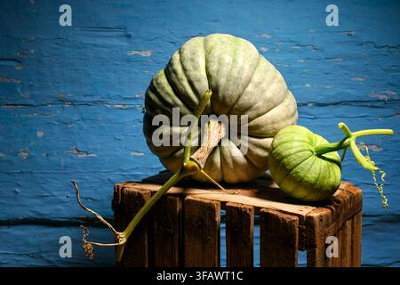 Pumpkins with small green squash on wooden crate against blue wall in moody light. Autumn harvest still life with squash and seasonal vegetables Stock Photo