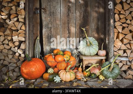 Colorful pumpkins and squash displayed beside wooden stool in rustic environment. Seasonal harvest arrangement with gourds and countryside farmhouse aesthetic Stock Photo