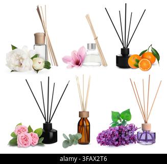 Collection of home fragrances. Aromatic reed air fresheners, citrus fruits and flowers isolated on white Stock Photo