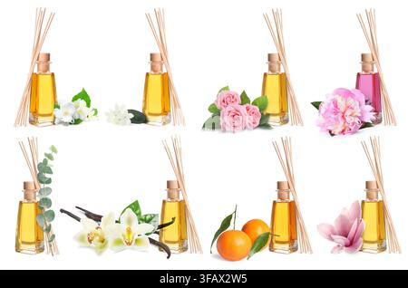 Aromatic reed air fresheners, citrus fruits and flowers isolated on white, collection. Home fragrances Stock Photo