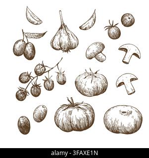Set of Mediterranean vegetable food in retro sketchy style. Hand drawn monochrome illustration. Stock Vector