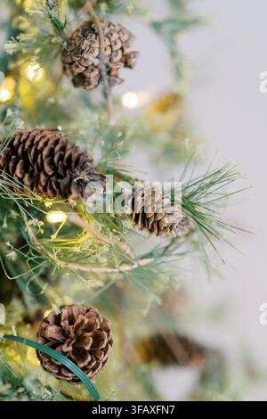 Close up of pine cones on decorated Christmas tree Stock Photo