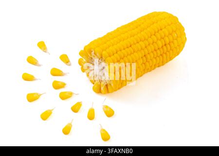Boiled yellow waxy sweet corn cobs stack isolated on white background Stock Photo