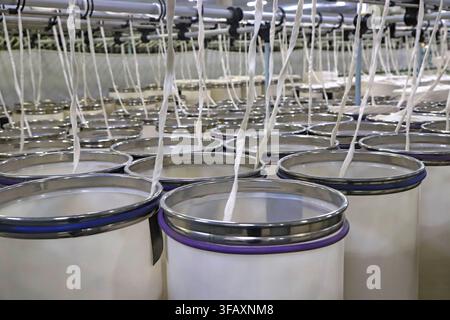 Neatly arranged sliver cans in a textile workshop, with white cotton sliver being fed upward from the cans, showing production details and industrial Stock Photo