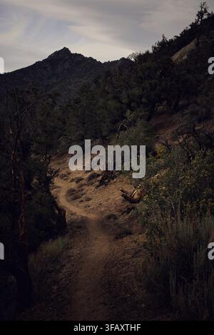 Narrow Winding Trail Descending Through Moody Mountain Slope at Dusk Stock Photo