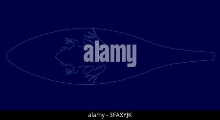 A white contour line drawing of a frog stands out vividly against a solid deep blue background. Stock Vector