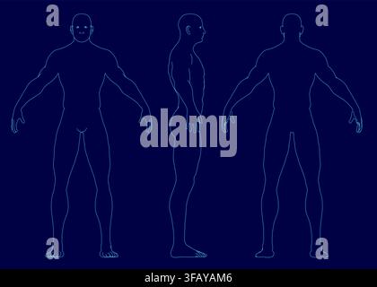 Athletic male silhouettes in triangular formation illustrate human anatomy on a stark blue background. The figures feature defined contours with sligh Stock Vector