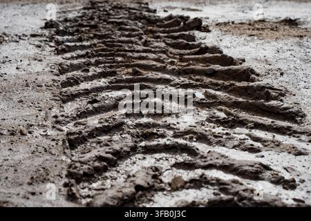 Deep heavy agricultural tractor tire treads imprinted in wet sticky clay soil and mud on an earthworks site clearing groundworks area Stock Photo