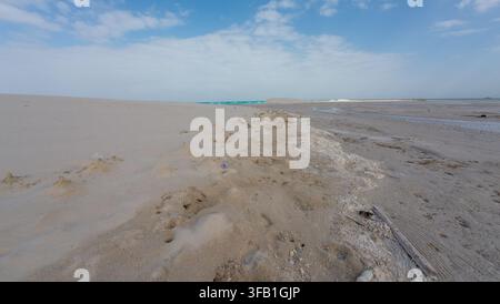 Wide view of a quiet sandy beach with shallow wet shoreline, scattered shells, distant turquoise water and soft blue cloudy sky. Stock Photo