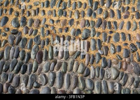 Traditional cobble pattern made of smooth river pebbles set in mortar, full frame overhead view. Stock Photo
