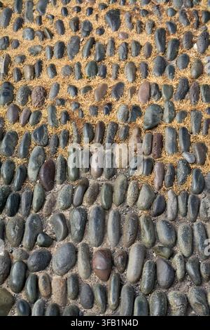 Vertical close-up of a traditional pebble stone pavement pattern set in mortar. Stock Photo