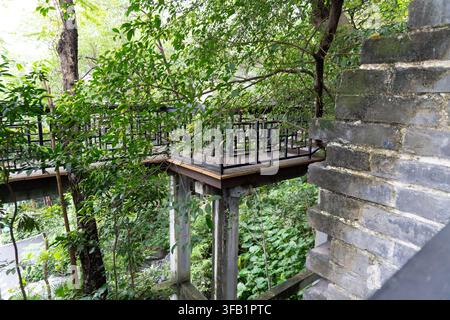 Elevated wooden walkway in lush green forest setting. Stock Photo