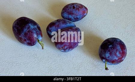 Four dark purple ripe plums arranged on a light surface, showcasing their smooth skin, natural bloom and rich color. Stock Photo