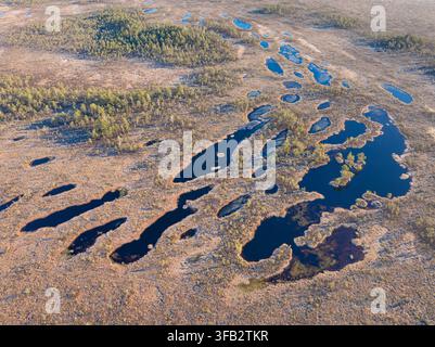 Aerial view of Laugas bog with numerous dark peat pools in Latvia Stock Photo