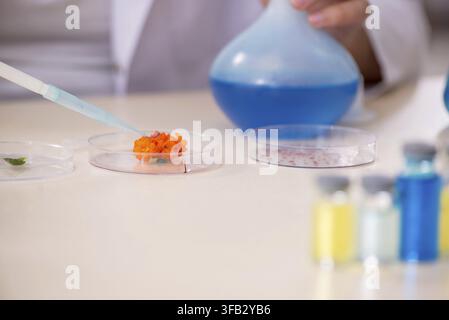 Young chemist working in laboratory Stock Photo