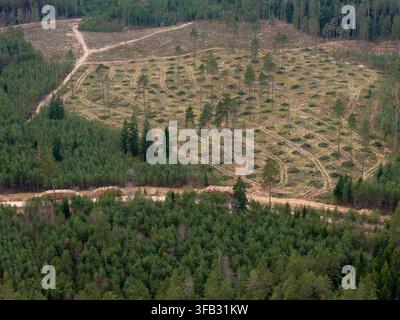Aerial view of a forest clearing with stacks of freshly cut timber and ...