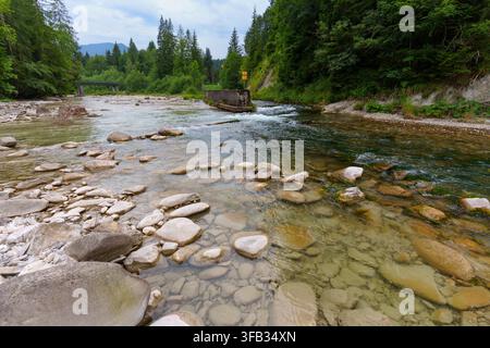 Clear river water flows over smooth stones in the foreground of the Ammer Gorge near Scheibum. A concrete weir and dense green forest line the banks u Stock Photo