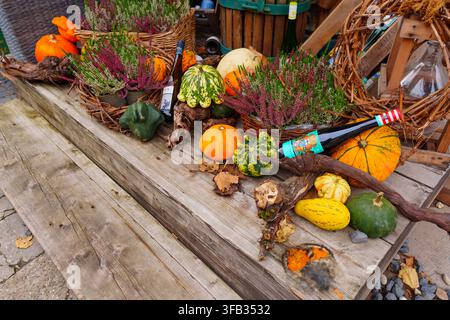 Rüdesheim, Germany - October 22, 2025: Autumnal arrangement of varied pumpkins, gourds, wine bottles, and potted heather on weathered wooden steps in Stock Photo
