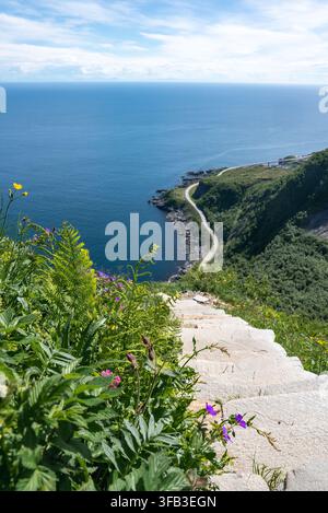 Stone stairs on a mountain trail descending towards the sea in Lofoten Stock Photo