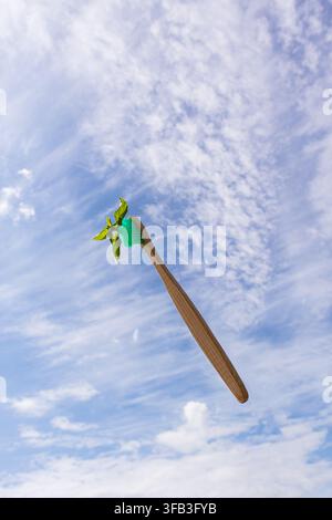 Close-up of a bamboo toothbrush with green bristles and fresh mint leaves against a bright blue sky with soft clouds, representing natural oral care, Stock Photo