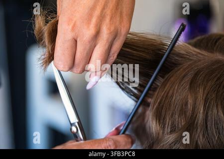 A close-up shot of a professional hairstylist's hands holding open scissors and a comb while sectioning and preparing to trim a client's brown hair in Stock Photo