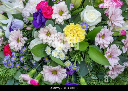A detailed overhead view of a vibrant funeral spray arrangement, featuring pink chrysanthemums, white roses, yellow carnations, lily buds, and eucalyp Stock Photo