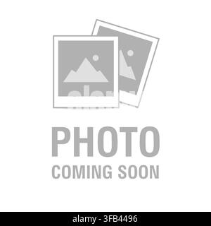 Photo coming soon placeholder featuring a gray image icon Stock Vector