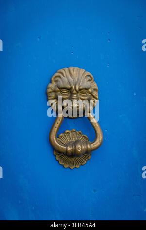Detailed metal lion knocker on a blue door Stock Photo