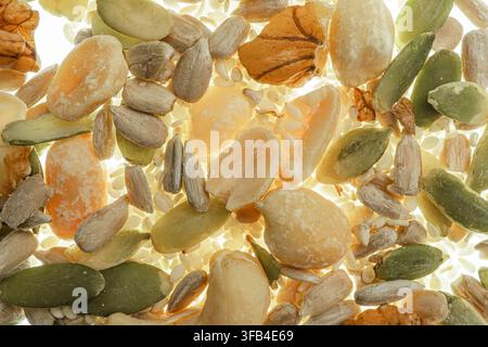 Vibrant collection of seeds and grains in white background, featuring pumpkin seeds, sunflower seeds, scattered arrangement, abundant variety, soft li Stock Photo